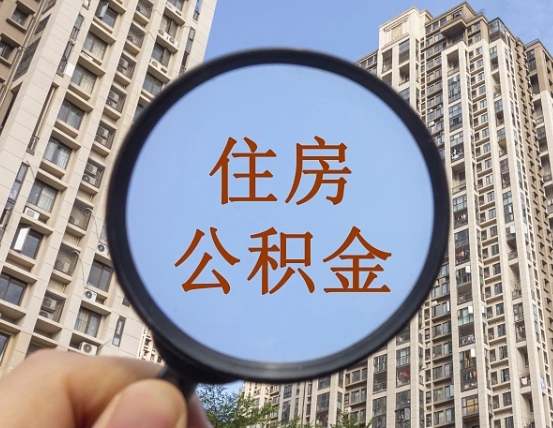 邹平退休后查不到公积金明细了吗（退休后公积金查询不到原因）